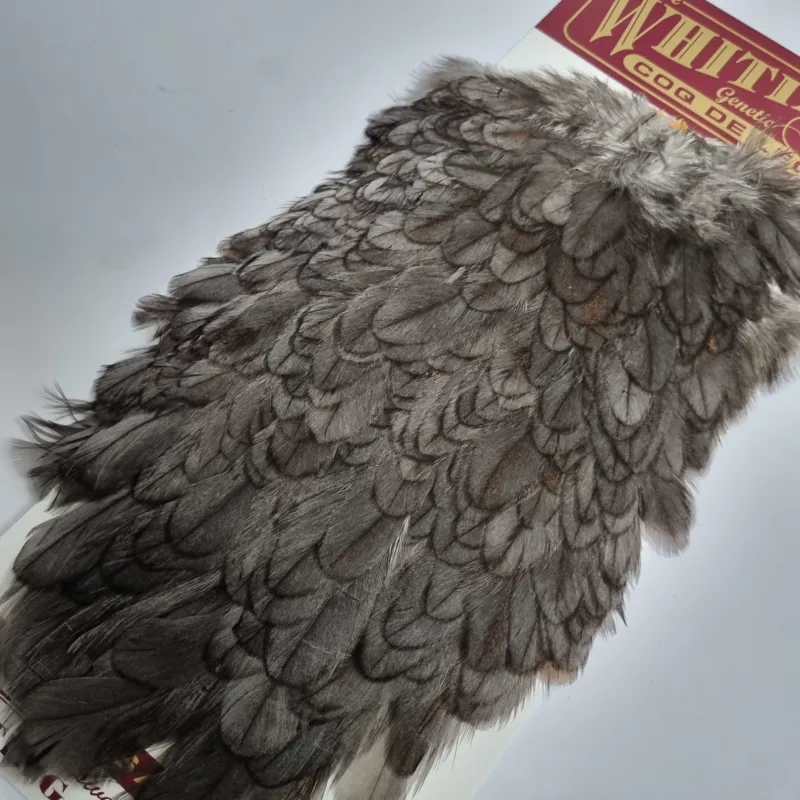 Whiting Coq de Leon Hen Saddle in Natural Dun